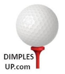 DIMPLESUP.COM logo