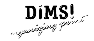 DIMS! ORGANIZING PRINT logo