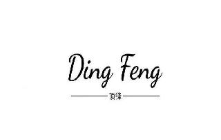 DING FENG logo