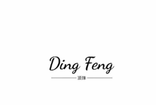 DING FENG logo