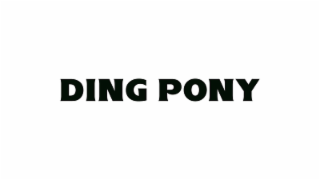 DING PONY logo
