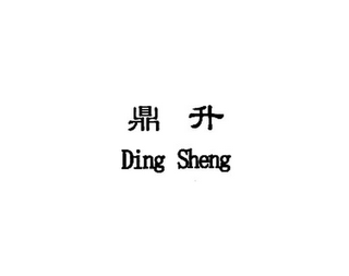 DING SHENG logo