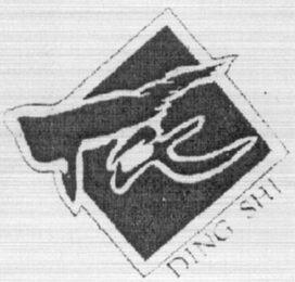 DING SHI logo