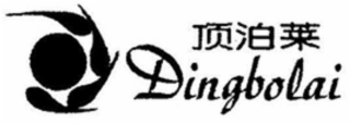 DINGBOLAI logo