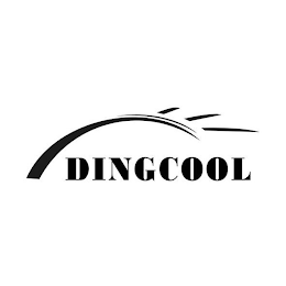 DINGCOOL logo