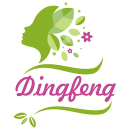 DINGFENG logo