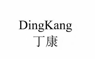 DINGKANG logo