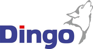 DINGO logo