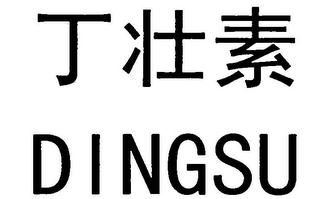 DINGSU logo