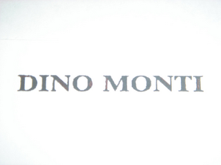 DINO MONTI logo
