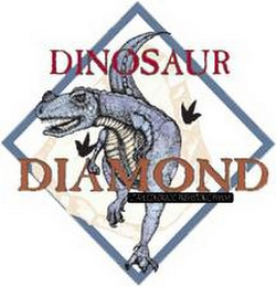 DINOSAUR DIAMOND logo