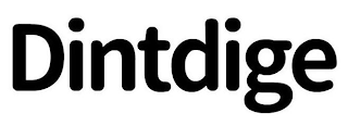 DINTDIGE logo