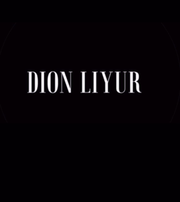 DION LIYUR logo