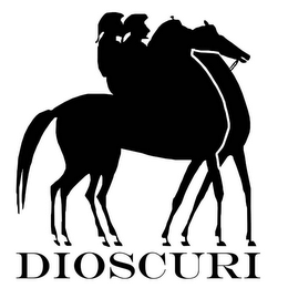 DIOSCURI logo