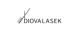 DIOVALASEK logo