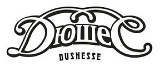 DIOWEC DUSHESSE logo