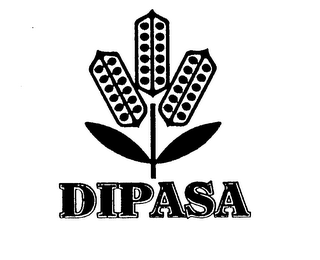 DIPASA logo