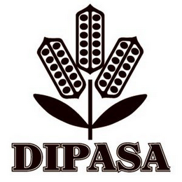 DIPASA logo