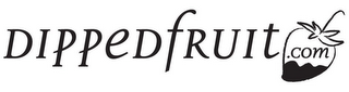 DIPPEDFRUIT.COM logo