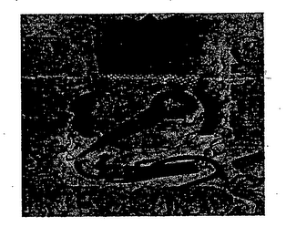 DIRTY CIDE RECORDS logo