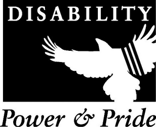 DISABILITY POWER & PRIDE logo