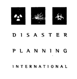 DISASTER PLANNING INTERNATIONAL logo