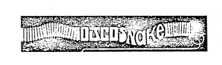 DISCO SNAKE logo