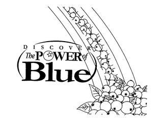 DISCOVER THE POWER OF BLUE logo
