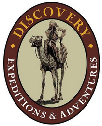 DISCOVERY EXPEDITIONS & ADVENTURES logo