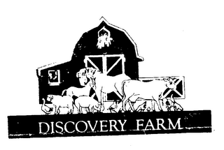 DISCOVERY FARM logo