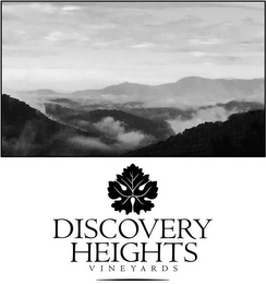 DISCOVERY HEIGHTS VINEYARDS logo