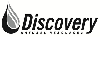 DISCOVERY NATURAL RESOURCES logo