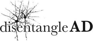 DISENTANGLEAD logo