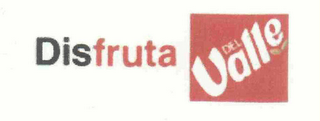 DISFRUTA DEL VALLE logo