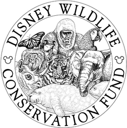 DISNEY WILDLIFE CONSERVATION FUND logo