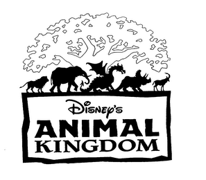DISNEY'S ANIMAL KINGDOM logo