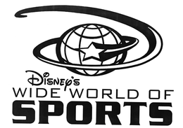 DISNEY'S WIDE WORLD OF SPORTS logo
