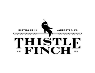 DISTILLED IN LANCASTER, PA THISTLE FINCH logo