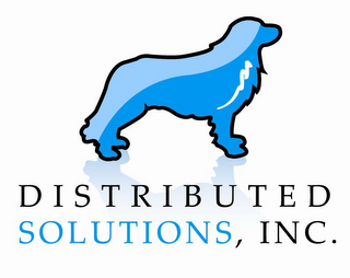 DISTRIBUTED SOLUTIONS, INC. logo