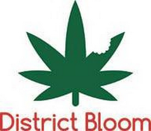 DISTRICT BLOOM logo