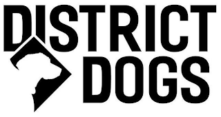 DISTRICT DOGS logo