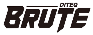 DITEQ BRUTE logo