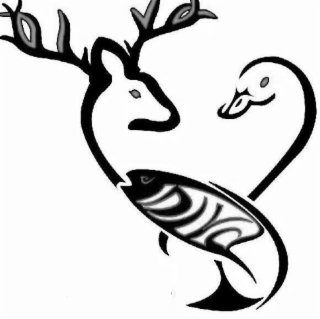DIVA logo