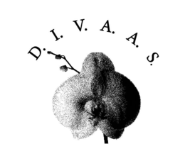 D.I.V.A.A.S. logo