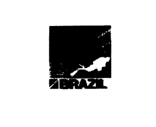 DIVE BRAZIL logo