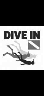 DIVE IN logo