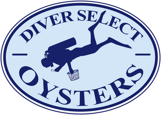 DIVER SELECT OYSTERS logo