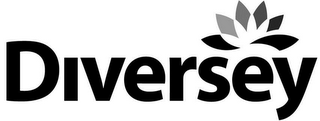 DIVERSEY
