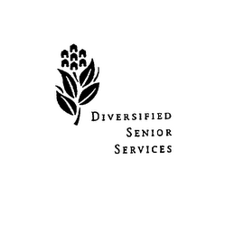 DIVERSIFIED SENIOR SERVICES logo
