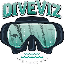DIVEVIZ JUST GET WET logo